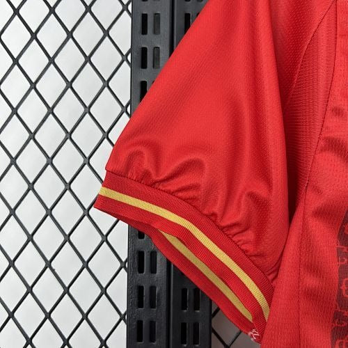 Jersey Chivas de Guadalajara 26/27 Edición especial | Fan