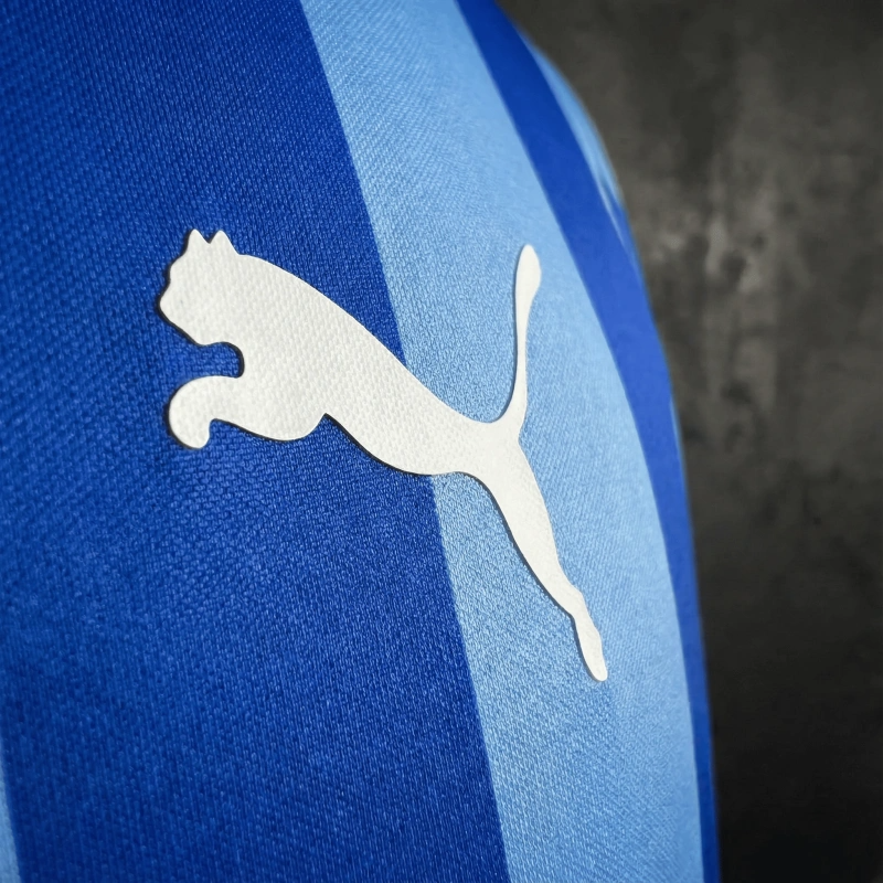 Jersey Chivas de Guadalajara 17/18 | Retro